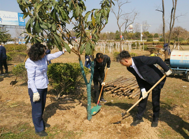 植樹(shù)節(jié)官網(wǎng)內(nèi)頁(yè)2.jpg